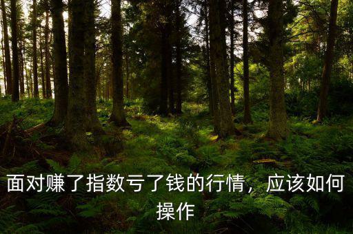 面對(duì)賺了指數(shù)虧了錢(qián)的行情，應(yīng)該如何操作