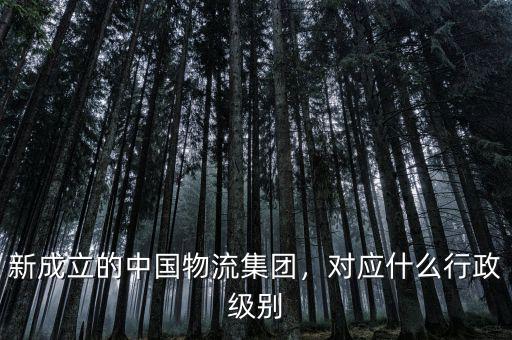 新成立的中國(guó)物流集團(tuán)，對(duì)應(yīng)什么行政級(jí)別