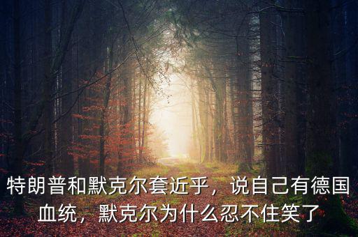 特朗普和默克爾套近乎，說自己有德國(guó)血統(tǒng)，默克爾為什么忍不住笑了