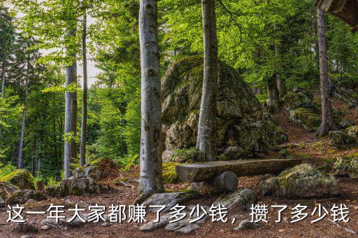 這一年大家都賺了多少錢(qián)，攢了多少錢(qián)