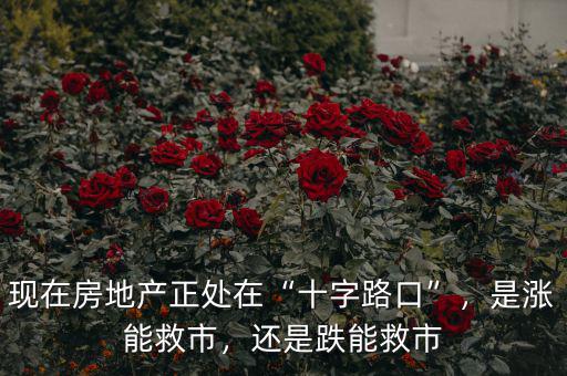 現(xiàn)在房地產(chǎn)正處在“十字路口”，是漲能救市，還是跌能救市