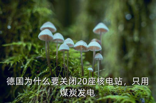 德國為什么要關閉20座核電站，只用煤炭發(fā)電
