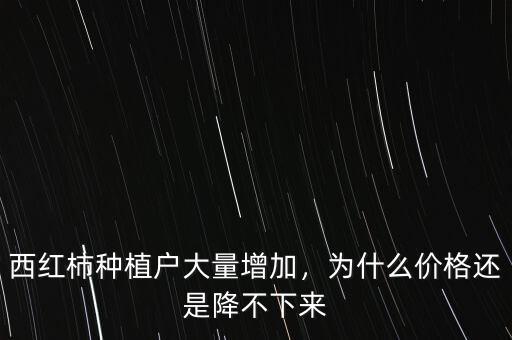 西紅柿種植戶大量增加，為什么價格還是降不下來