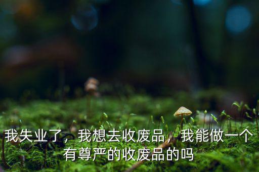 我失業(yè)了，我想去收廢品，我能做一個有尊嚴(yán)的收廢品的嗎