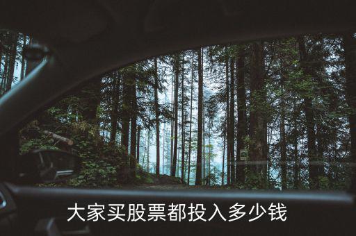 股市投入總財(cái)富的多少合適,大家買(mǎi)股票都投入多少錢(qián)