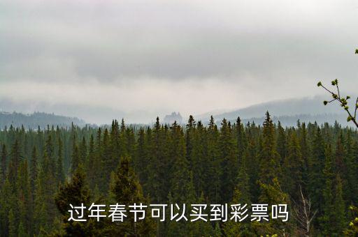 彩票網點過年怎么安排的,過年春節(jié)可以買到彩票嗎