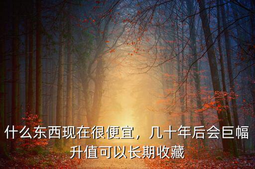 什么東西現(xiàn)在很便宜，幾十年后會(huì)巨幅升值可以長(zhǎng)期收藏