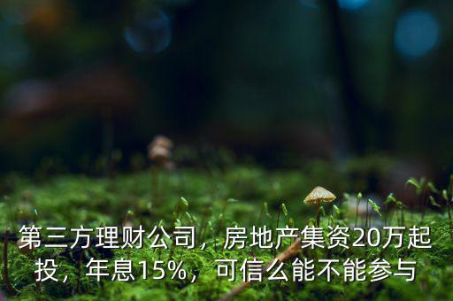 第三方理財(cái)公司，房地產(chǎn)集資20萬(wàn)起投，年息15%，可信么能不能參與