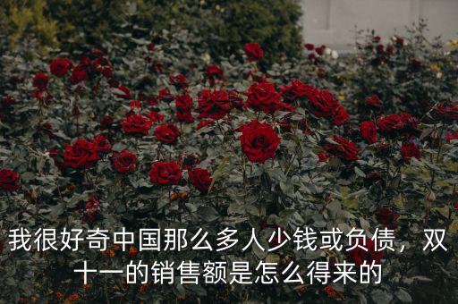 我很好奇中國那么多人少錢或負債，雙十一的銷售額是怎么得來的