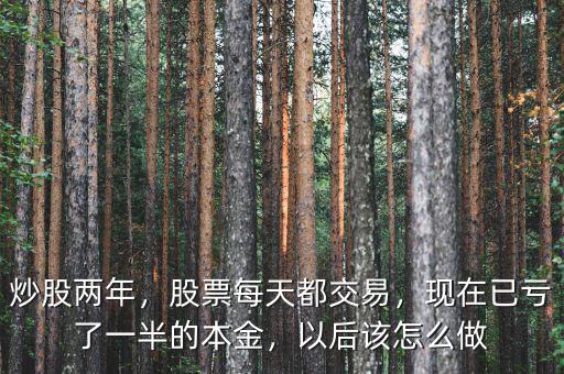 炒股兩年，股票每天都交易，現(xiàn)在已虧了一半的本金，以后該怎么做