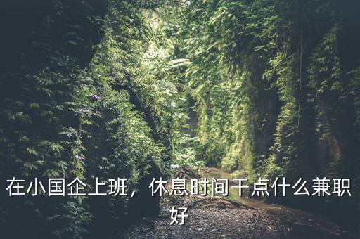 在小國(guó)企上班，休息時(shí)間干點(diǎn)什么兼職好
