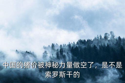 中國的豬價被神秘力量做空了，是不是索羅斯干的