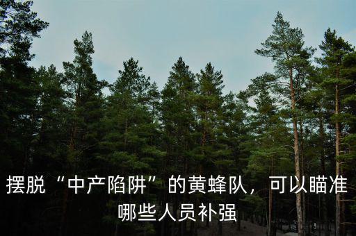 擺脫“中產(chǎn)陷阱”的黃蜂隊(duì)，可以瞄準(zhǔn)哪些人員補(bǔ)強(qiáng)