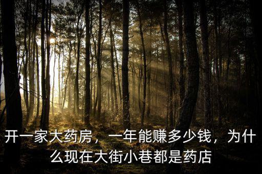 開一家大藥房，一年能賺多少錢，為什么現(xiàn)在大街小巷都是藥店