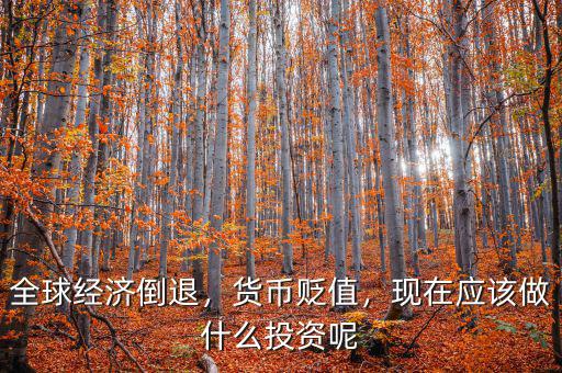 全球經(jīng)濟(jì)倒退，貨幣貶值，現(xiàn)在應(yīng)該做什么投資呢