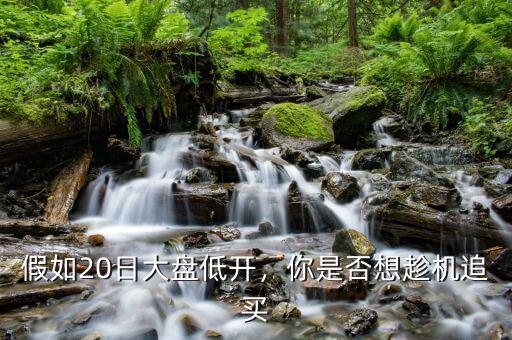 假如20日大盤低開，你是否想趁機(jī)追買