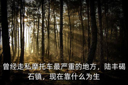 曾經(jīng)走私摩托車(chē)最嚴(yán)重的地方，陸豐碣石鎮(zhèn)，現(xiàn)在靠什么為生