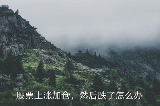 股票上漲加倉，然后跌了怎么辦