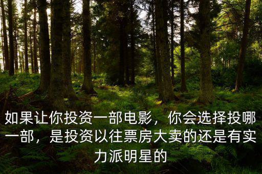 如果讓你投資一部電影，你會選擇投哪一部，是投資以往票房大賣的還是有實(shí)力派明星的