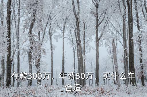 存款300萬，年薪50萬，買什么車合適