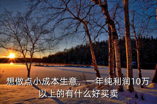 想做點小成本生意，一年純利潤10萬以上的有什么好買賣