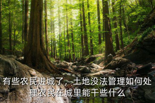 有些農(nóng)民進城了，土地沒法管理如何處理農(nóng)民在城里能干些什么