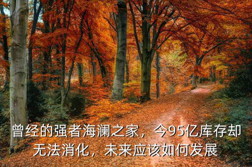 曾經(jīng)的強者海瀾之家，今95億庫存卻無法消化，未來應該如何發(fā)展