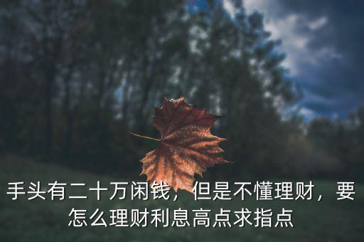 手頭有二十萬閑錢，但是不懂理財，要怎么理財利息高點求指點