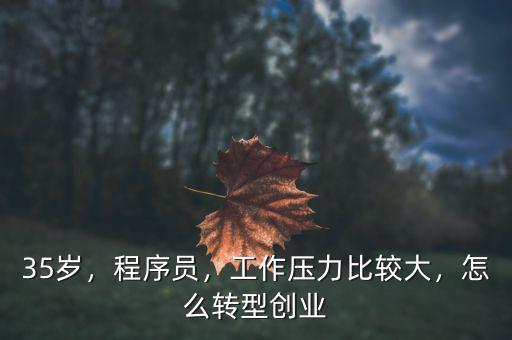 35歲，程序員，工作壓力比較大，怎么轉(zhuǎn)型創(chuàng)業(yè)