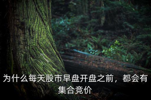 為什么每天股市早盤開盤之前，都會(huì)有集合競(jìng)價(jià)