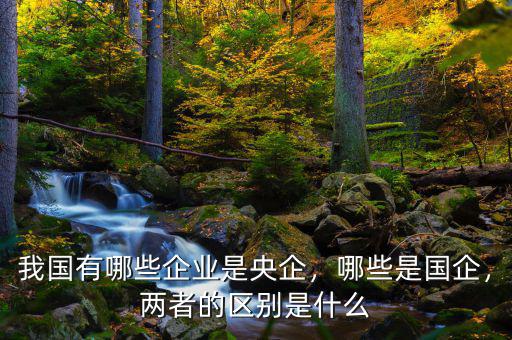 我國(guó)有哪些企業(yè)是央企，哪些是國(guó)企，兩者的區(qū)別是什么