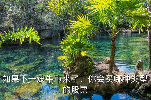 如果下一波牛市來了，你會買哪種類型的股票