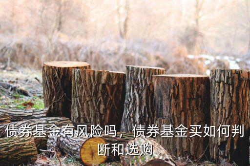 債券基金有風(fēng)險(xiǎn)嗎，債券基金買如何判斷和選購