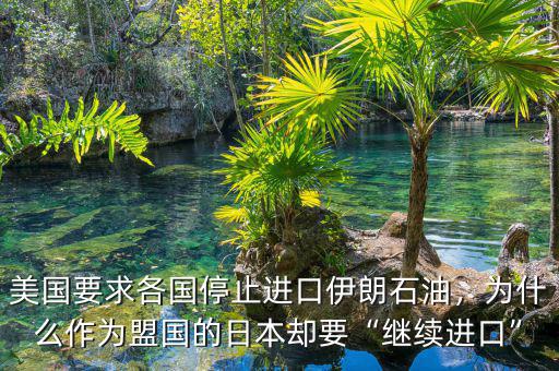 美國要求各國停止進口伊朗石油，為什么作為盟國的日本卻要“繼續(xù)進口”