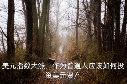 美元指數(shù)大漲，作為普通人應(yīng)該如何投資美元資產(chǎn)