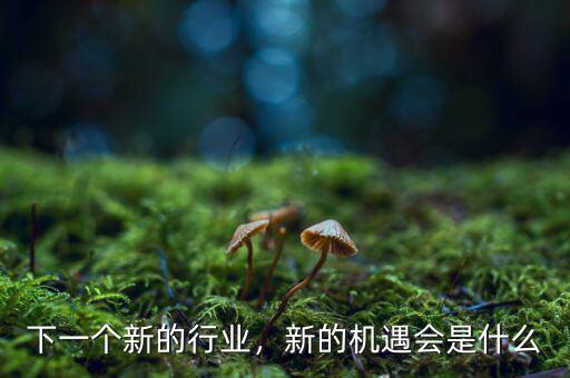 下一個新的行業(yè)，新的機遇會是什么