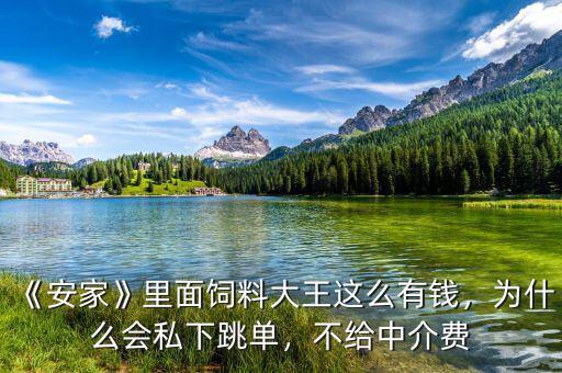 《安家》里面飼料大王這么有錢，為什么會(huì)私下跳單，不給中介費(fèi)