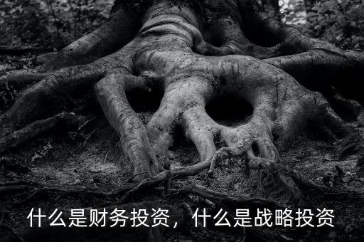 什么是財(cái)務(wù)投資，什么是戰(zhàn)略投資