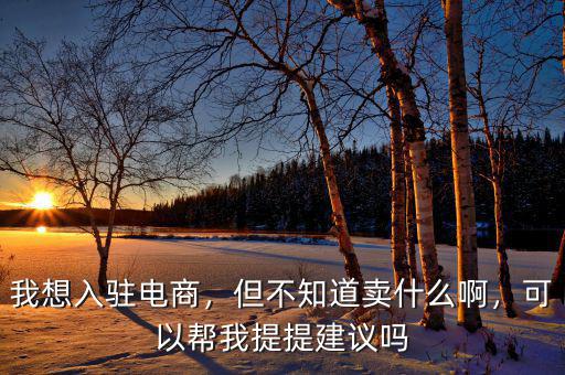 我想入駐電商，但不知道賣什么啊，可以幫我提提建議嗎