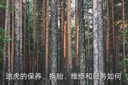 途虎的保養(yǎng)、換胎、維修和服務(wù)如何