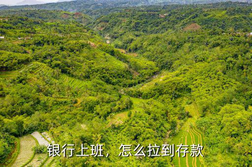 銀行上班，怎么拉到存款