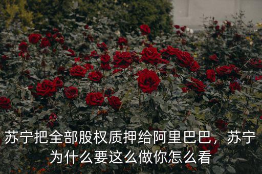 蘇寧把全部股權(quán)質(zhì)押給阿里巴巴，蘇寧為什么要這么做你怎么看