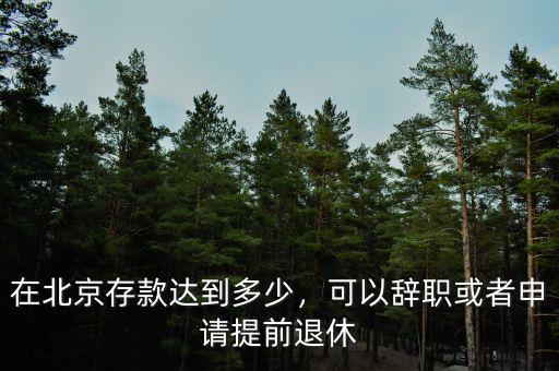 在北京存款達(dá)到多少，可以辭職或者申請?zhí)崆巴诵? class=
