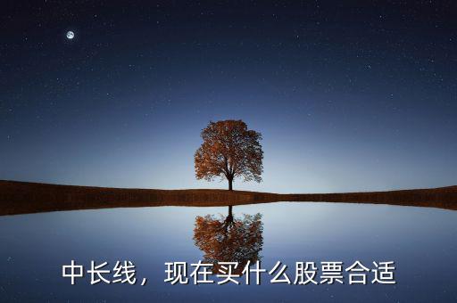中長(zhǎng)線，現(xiàn)在買(mǎi)什么股票合適