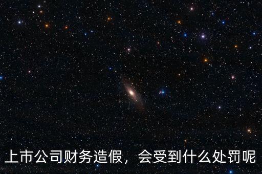上市公司財(cái)務(wù)造假，會(huì)受到什么處罰呢