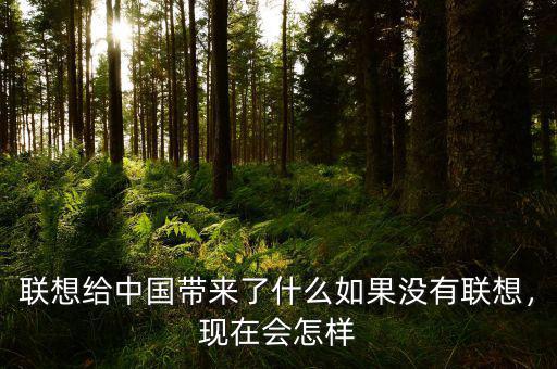 聯(lián)想給中國(guó)帶來了什么如果沒有聯(lián)想，現(xiàn)在會(huì)怎樣