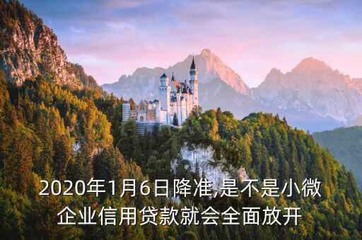 2020年1月6日降準(zhǔn),是不是小微企業(yè)信用貸款就會全面放開