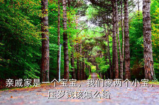 親戚家是一個(gè)寶寶，我們家兩個(gè)小寶，壓歲錢(qián)該怎么給