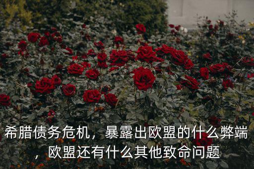 希臘債務(wù)危機(jī)，暴露出歐盟的什么弊端，歐盟還有什么其他致命問題