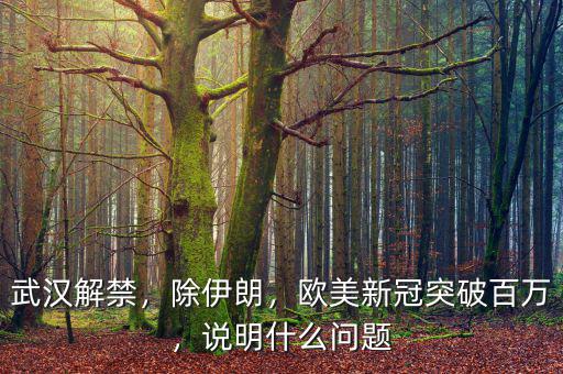 武漢解禁，除伊朗，歐美新冠突破百萬(wàn)，說(shuō)明什么問(wèn)題